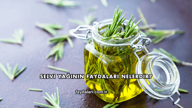 Selvi Yağının Faydaları Nelerdir?