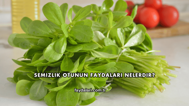 Semizlik Otunun Faydaları Nelerdir?