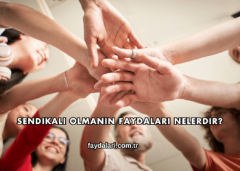 Sendikalı Olmanın Faydaları Nelerdir?