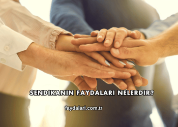 Sendikanın Faydaları Nelerdir?