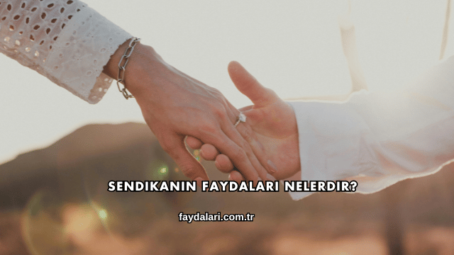 Sendikanın Faydaları Nelerdir?