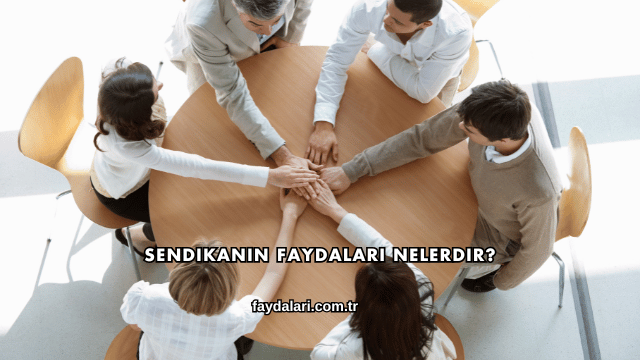 Sendikanın Faydaları Nelerdir?