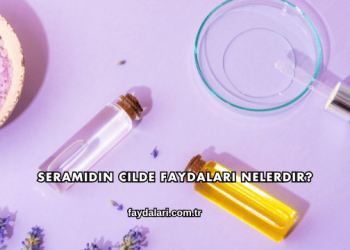 Seramidin Cilde Faydaları Nelerdir?