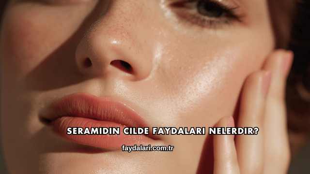Seramidin Cilde Faydaları Nelerdir?