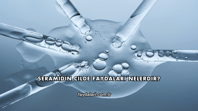 Seramidin Cilde Faydaları Nelerdir?