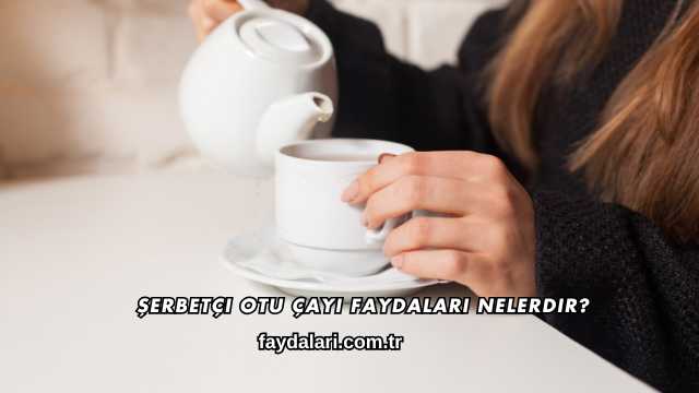 Şerbetçi Otu Çayı Faydaları Nelerdir?