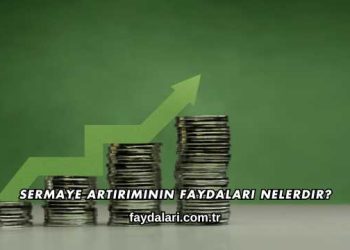Sermaye Artırımının Faydaları Nelerdir?