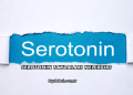 Serotonin Faydaları Nelerdir?
