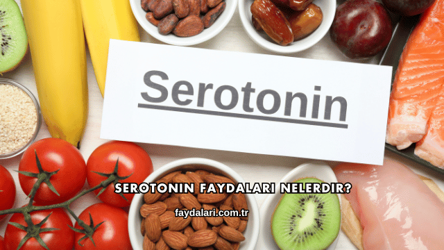 Serotonin Faydaları Nelerdir?
