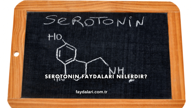 Serotonin Faydaları Nelerdir?