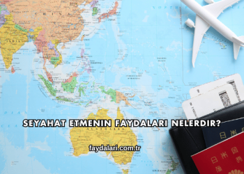 Seyahat Etmenin Faydaları Nelerdir?