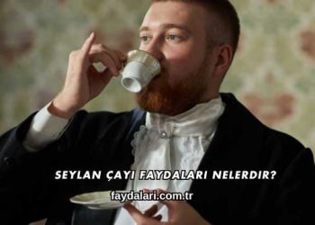 Seylan Çayı Faydaları Nelerdir?