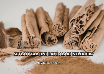Seylan Tarçını Faydaları Nelerdir?