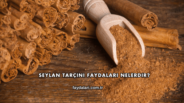 Seylan Tarçını Faydaları Nelerdir?