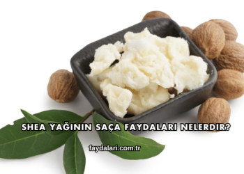 Shea Yağının Saça Faydaları Nelerdir?