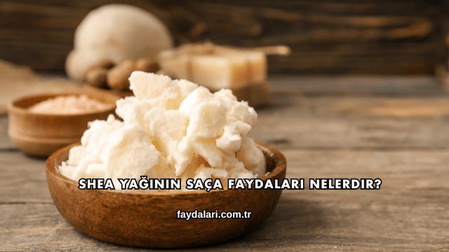Shea Yağının Saça Faydaları Nelerdir?