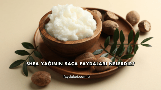 Shea Yağının Saça Faydaları Nelerdir?