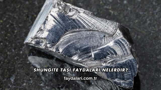 Shungite Taşı Faydaları Nelerdir?