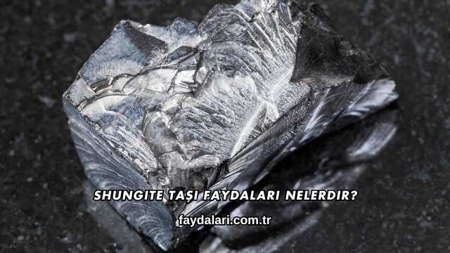 Shungite Taşı Faydaları Nelerdir?