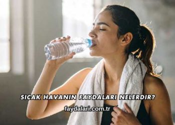 Sıcak Havanın Faydaları Nelerdir?