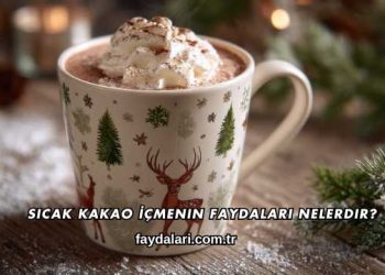 Sıcak Kakao İçmenin Faydaları Nelerdir?