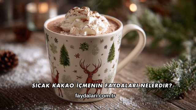 Sıcak Kakao İçmenin Faydaları Nelerdir?