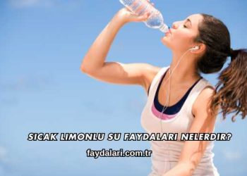 Sıcak Limonlu Su Faydaları Nelerdir?