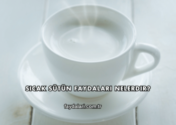 Sıcak Sütün Faydaları Nelerdir?