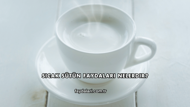 Sıcak Sütün Faydaları Nelerdir?
