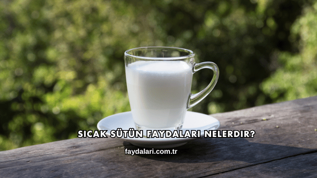 Sıcak Sütün Faydaları Nelerdir?