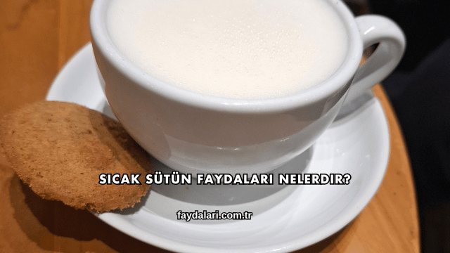 Sıcak Sütün Faydaları Nelerdir?