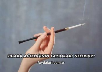 Sigara Ağızlığının Faydaları Nelerdir