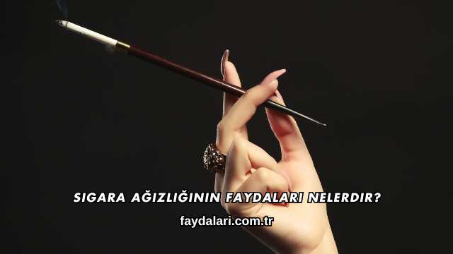 Sigara Ağızlığının Faydaları Nelerdir