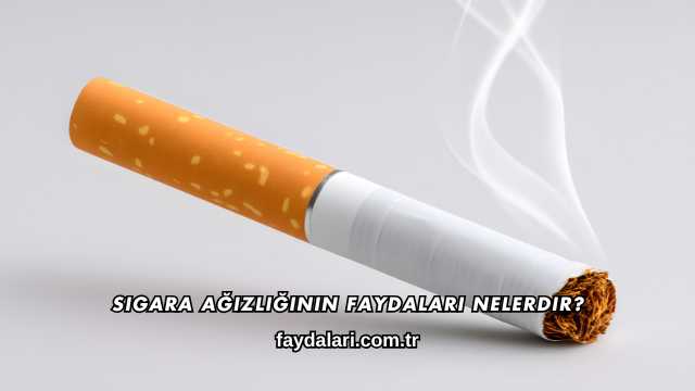 Sigara Ağızlığının Faydaları Nelerdir