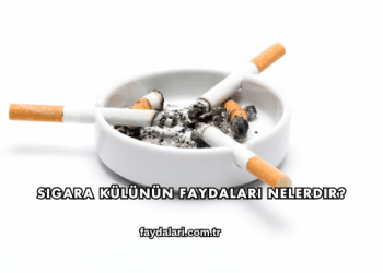 Sigara Külünün Faydaları Nelerdir?