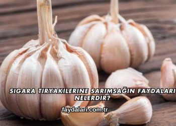 Sigara Tiryakilerine Sarımsağın Faydaları Nelerdir?