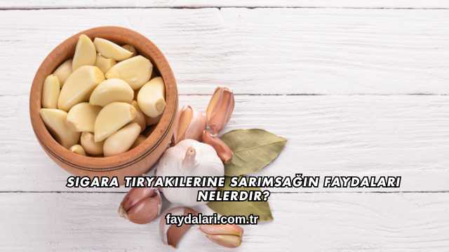 Sigara Tiryakilerine Sarımsağın Faydaları Nelerdir?