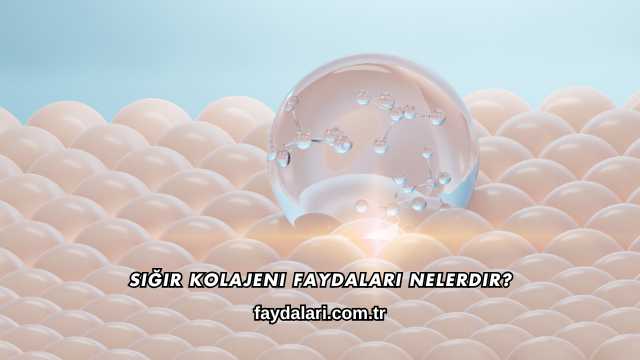 Sığır Kolajeni Faydaları Nelerdir?