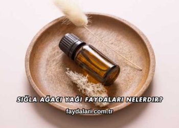 Sığla Ağacı Yağı Faydaları Nelerdir?