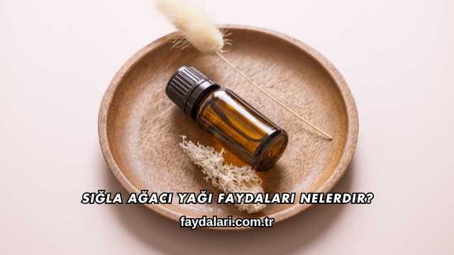 Sığla Ağacı Yağı Faydaları Nelerdir?
