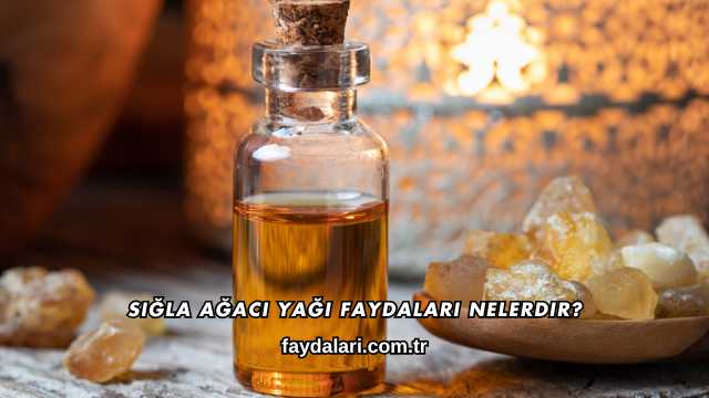 Sığla Ağacı Yağı Faydaları Nelerdir?