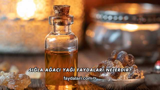 Sığla Ağacı Yağı Faydaları Nelerdir?