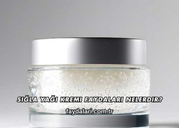 Sığla Yağı Kremi Faydaları Nelerdir?