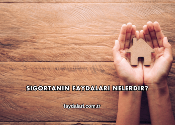 Sigortanın Faydaları Nelerdir?