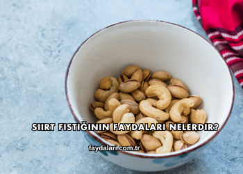 Siirt Fıstığının Faydaları Nelerdir?