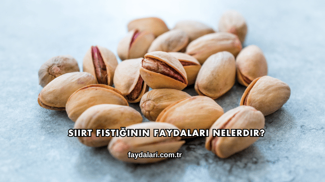 Siirt Fıstığının Faydaları Nelerdir?