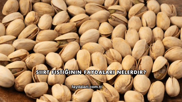 Siirt Fıstığının Faydaları Nelerdir?