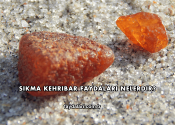 Sıkma Kehribar Faydaları Nelerdir?