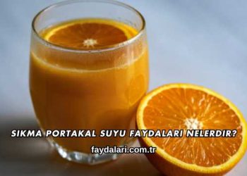 Sıkma Portakal Suyu Faydaları Nelerdir?
