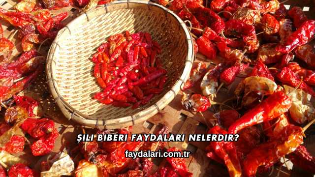 Şili Biberi Faydaları Nelerdir?